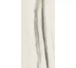Rex Prexious of Rex White Fantasy 60x120x1cm