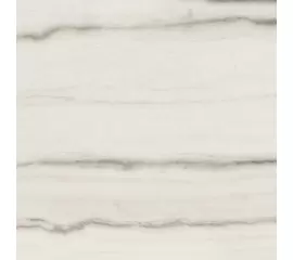 Rex Prexious of Rex White Fantasy 60x60x1cm