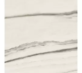 Rex Prexious of Rex White Fantasy 80x80x1cm