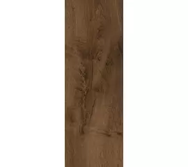 Atlas Concorde Heartwood Moka 20x120x0,9cm