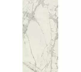 Rex Prexious of Rex Mountain Treasure 120x240x0,6cm