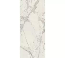 Rex Prexious of Rex Mountain Treasure 120x280x0,6cm