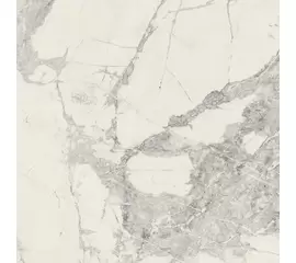 Rex Prexious of Rex Mountain Treasure 160x160x0,6cm