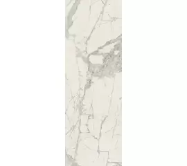 Rex Prexious of Rex Mountain Treasure 160x320x0,6cm