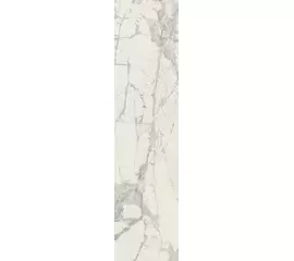 Rex Prexious of Rex Mountain Treasure 30x120x1cm