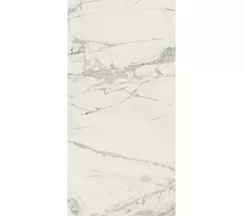 Rex Prexious of Rex Mountain Treasure 60x120x0,6cm