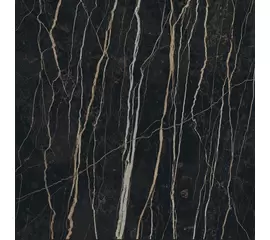 Rex Prexious of Rex Thunder Night 120x120x0,6cm