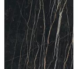 Rex Prexious of Rex Thunder Night 160x160x0,6cm
