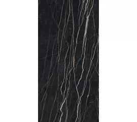 Rex Prexious of Rex Thunder Night 160x320x0,6cm