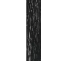 Rex Prexious of Rex Thunder Night 30x120x1cm
