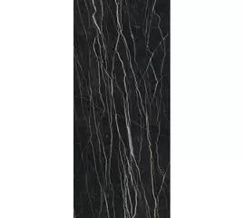 Rex Prexious of Rex Thunder Night 80x180x1cm