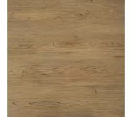 Cerrad Ragaya Beige 2.0 59,7x59,7x2 Płytka Gresowa Matowa