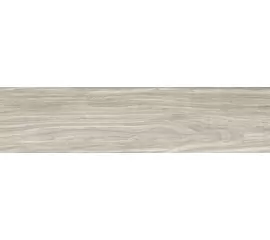 Codicer Missouri Grey 22x90 płytka gresowa matowa