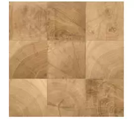 Emil Ceramica 20TWENTY  Tronco  20x20  płytka gresowa matowa