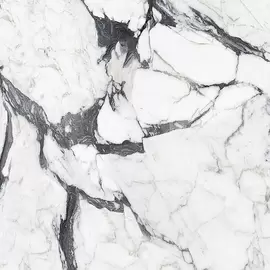 Rex Les Bijoux de Rex Calacatta Altissimo Blanc 120x120x0,6cm