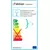 Fabbian Armilla Lampa Wisząca F50 A01 01
