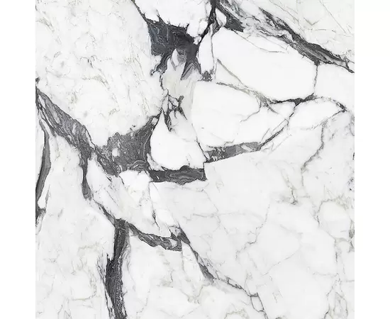 Rex Les Bijoux de Rex Calacatta Altissimo Blanc 120x120x0,6cm