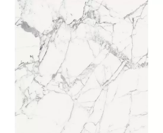 Rex Les Origines de Rex Origines Blanc 120x120x0,6cm