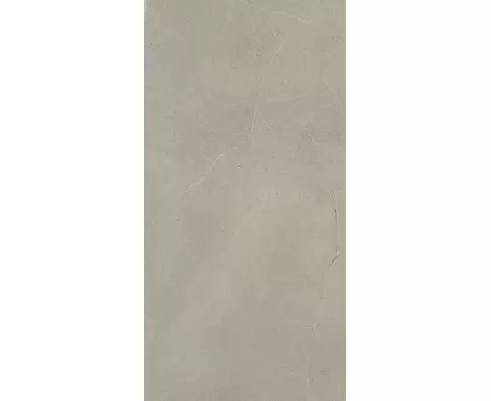 Rex Esprit de Rex Moderne Gris 40x80x1cm