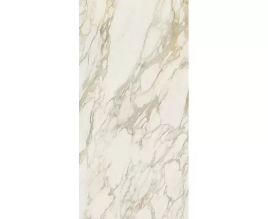 Rex Etoile de Rex Etoile Creme 40x80x1 Płytka gresowa polerowana