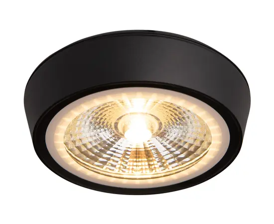 Maxlight charon c0208 lampa sufitowa ip65