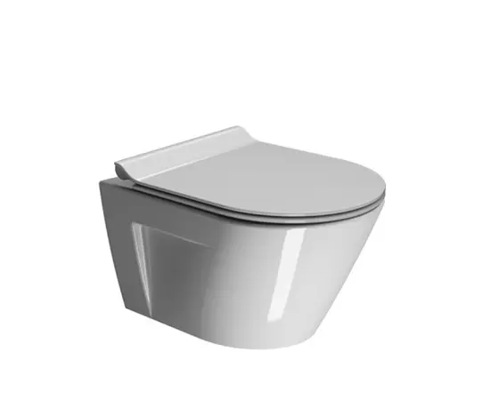 GSI Norm 50x36cm Miska WC Podwieszana Swirlflush 861611